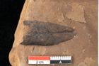Foto (Detailsansicht) von Quercus palaeoilex Ettingshausen (NHMW-GEO-2024-0188-0872)
